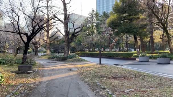 Hibiya Park Japón Tokio Paisaje — Vídeo de stock