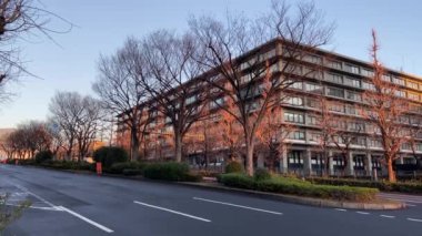 Japonya 'da Kasumigaseki, Tokyo Manzarası