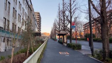 Japonya 'da Kasumigaseki, Tokyo Manzarası