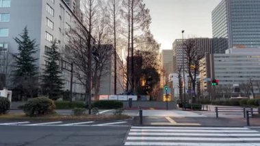 Japonya 'da Kasumigaseki, Tokyo Manzarası
