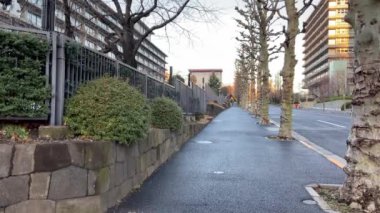 Japonya 'da Kasumigaseki, Tokyo Manzarası