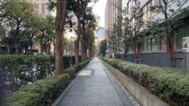 Japonya 'da Kasumigaseki, Tokyo Manzarası