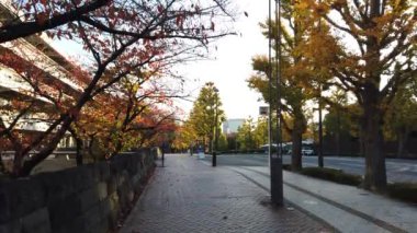 Japonya 'da Kasumigaseki, Tokyo Manzarası