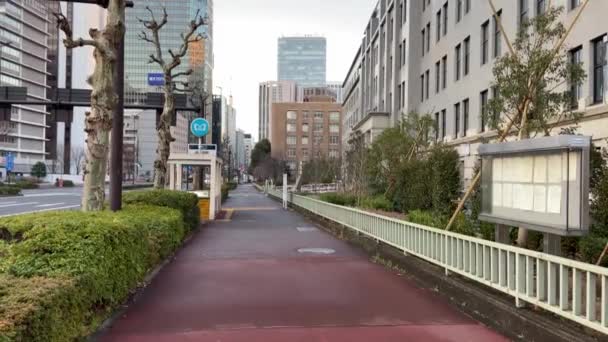 Kasumigaseki Japão Tóquio Paisagem — Vídeo de Stock