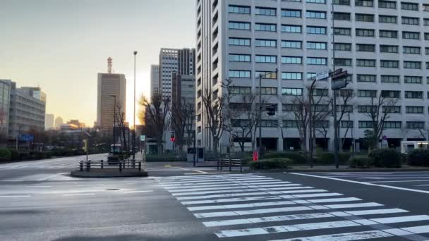 日本的Kasumigaseki 东京景观 — 图库视频影像