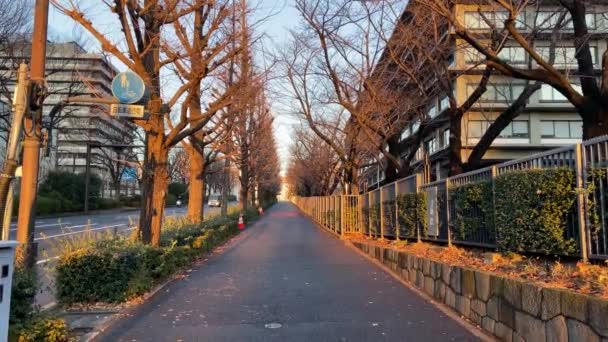 Kasumigaseki Japão Tóquio Paisagem — Vídeo de Stock