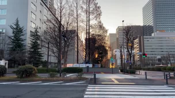 Kasumigaseki Japão Tóquio Paisagem — Vídeo de Stock