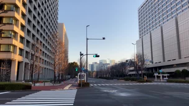Kasumigaseki Japan Tokio Landschap — Stockvideo