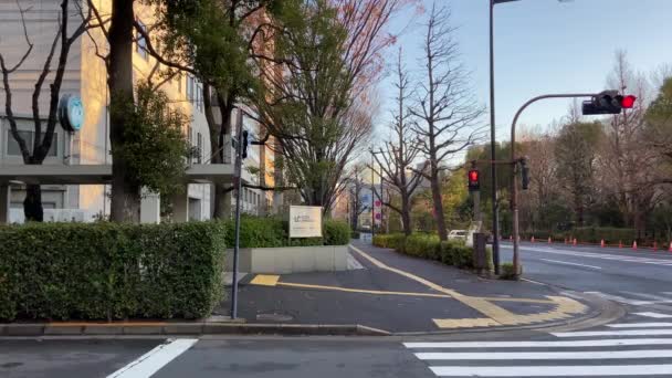 Kasumigaseki Στην Ιαπωνία Τόκιο Τοπίο — Αρχείο Βίντεο