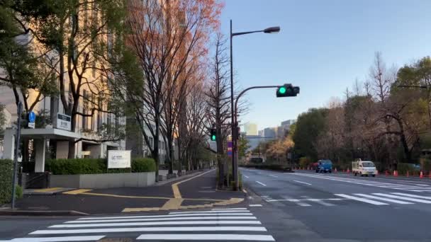 Kasumigaseki Japan Tokio Landschap — Stockvideo