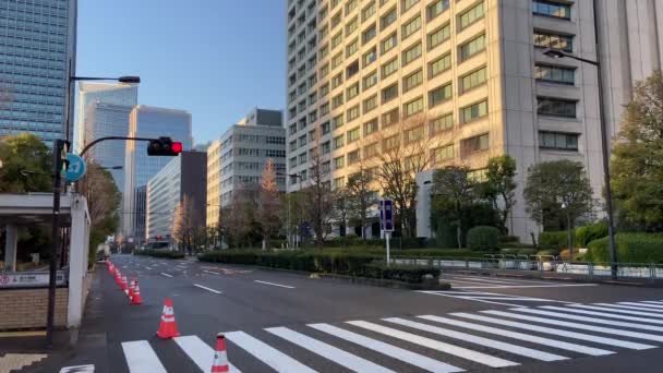 Kasumigaseki Der Japanischen Landschaft Von Tokio — Stockvideo