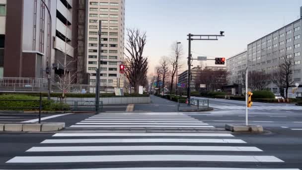 Kasumigaseki Japón Paisaje Tokio — Vídeos de Stock