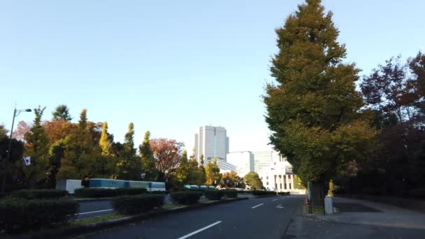 Kasumigaseki Japón Paisaje Tokio — Vídeo de stock