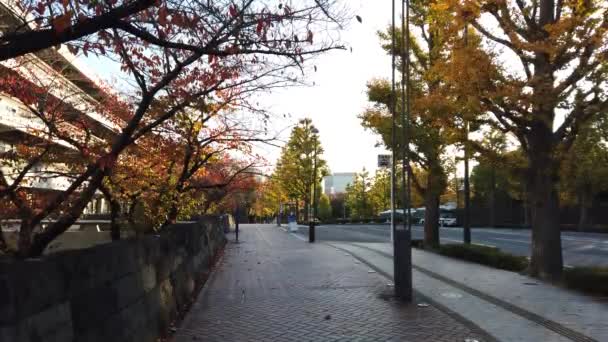 Japonya Kasumigaseki Tokyo Manzarası — Stok video