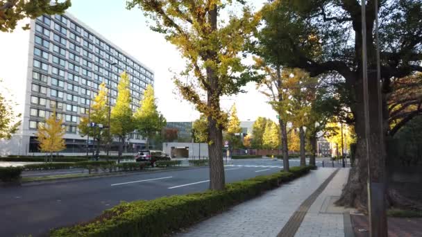 Kasumigaseki Japonii Krajobraz Tokio — Wideo stockowe