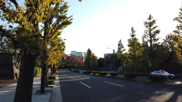 日本的Kasumigaseki 东京景观 — 图库视频影像