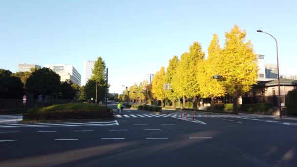 Kasumigaseki Japón Paisaje Tokio — Vídeos de Stock