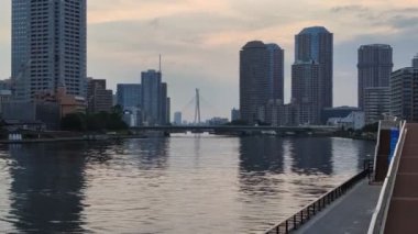 Tokyo 'nun Sumida Nehri manzarası