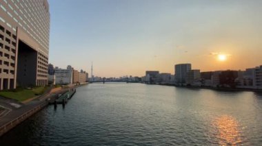 Tokyo 'nun Sumida Nehri manzarası
