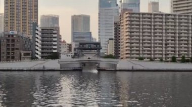 Tokyo 'nun Sumida Nehri manzarası