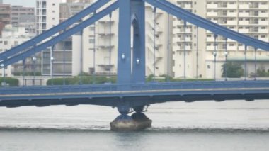 Tokyo 'nun Sumida Nehri manzarası