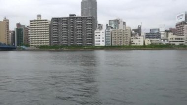 Tokyo 'nun Sumida Nehri manzarası