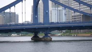 Tokyo 'nun Sumida Nehri manzarası