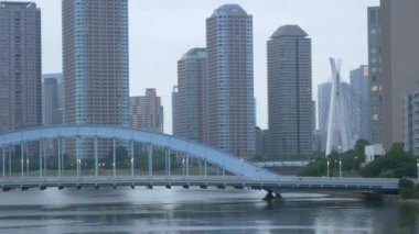 Tokyo 'nun Sumida Nehri manzarası