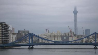 Tokyo 'nun Sumida Nehri manzarası