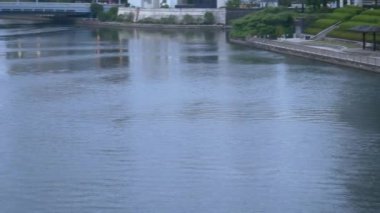 Tokyo 'nun Sumida Nehri manzarası