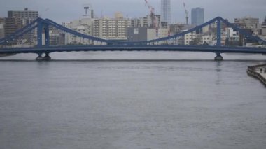 Tokyo 'nun Sumida Nehri manzarası