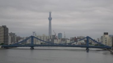 Tokyo 'nun Sumida Nehri manzarası