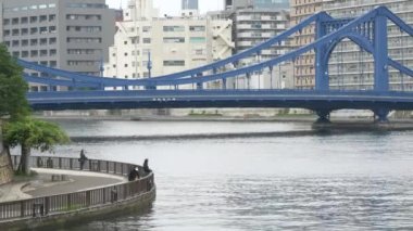 Tokyo 'nun Sumida Nehri manzarası