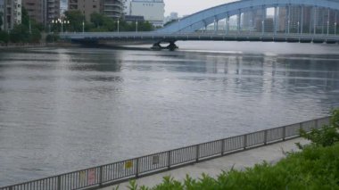Tokyo 'nun Sumida Nehri manzarası