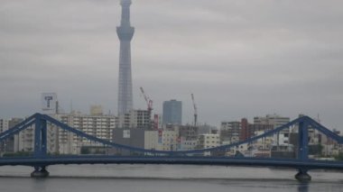 Tokyo 'nun Sumida Nehri manzarası