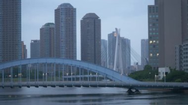 Tokyo 'nun Sumida Nehri manzarası