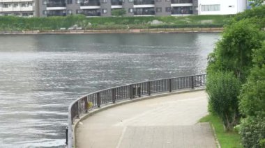 Tokyo 'nun Sumida Nehri manzarası