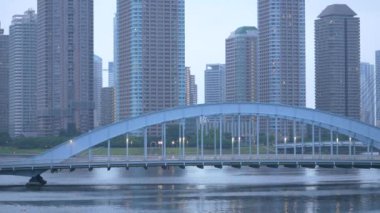 Tokyo 'nun Sumida Nehri manzarası