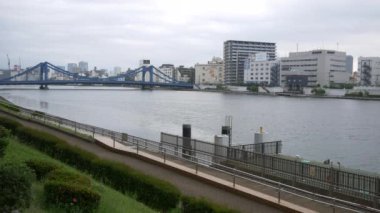 Tokyo 'nun Sumida Nehri manzarası
