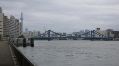 Tokyo 'nun Sumida Nehri manzarası