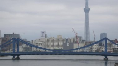 Tokyo 'nun Sumida Nehri manzarası