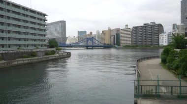 Tokyo 'nun Sumida Nehri manzarası