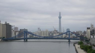 Tokyo 'nun Sumida Nehri manzarası