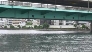 Tokyo 'nun Sumida Nehri manzarası