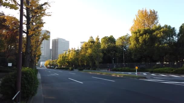 Kasumigaseki Der Japanischen Landschaft Von Tokio — Stockvideo