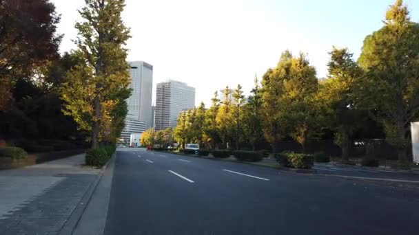 Kasumigaseki Japón Paisaje Tokio — Vídeos de Stock