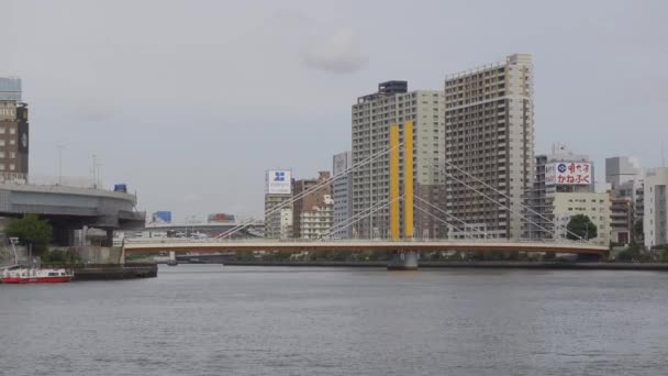 Sumida River Landschap Van Tokio — Stockvideo