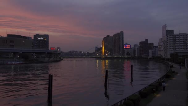 Peisajul Râului Sumida Din Tokyo — Videoclip de stoc