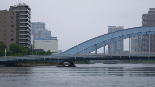Τοπίο Του Ποταμού Σουμίντα Στο Τόκιο — Αρχείο Βίντεο