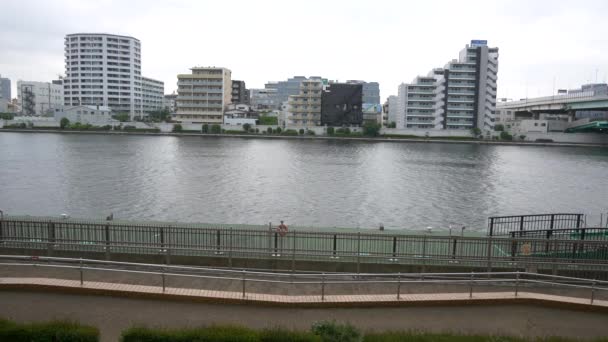 Sumida River Landscape Tokyo — Stock Video